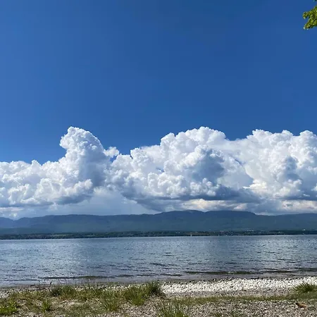 Pepy & Delmis Chens-sur-Leman